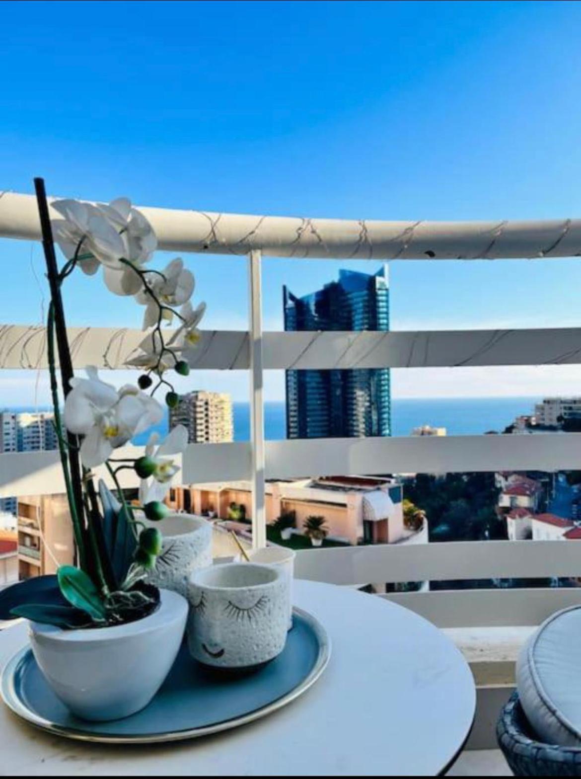博索莱伊Reve Au 7E Ciel Piscine Baie De Monaco公寓 外观 照片